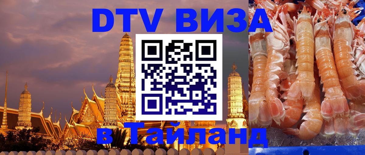 Как сделать DTV визу в Тайланд Ватикан 
